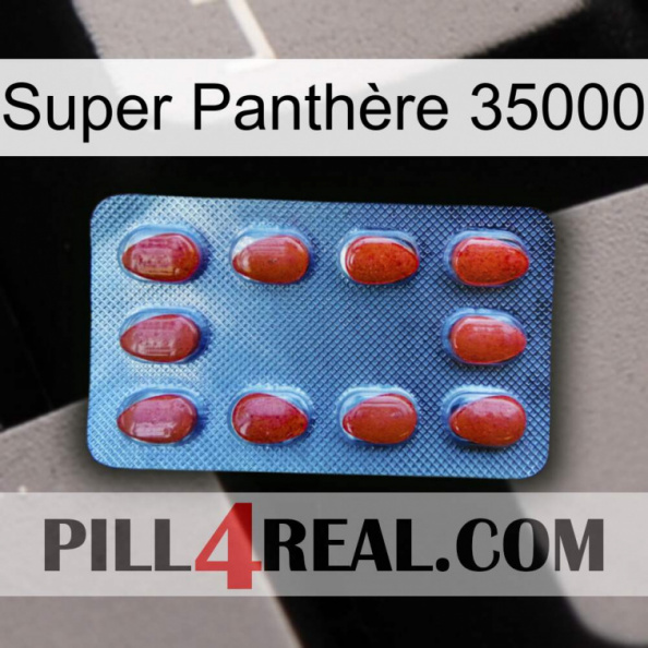 Super Panthère 35000 06.jpg